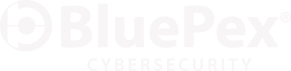 Invista na franquia de cibersegurança que mais cresce no brasil - BluePex®